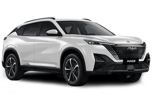 Dongfeng Мэйдж