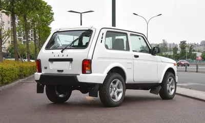 9229394_500