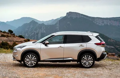 24270052_500