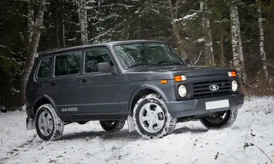 9229403_300