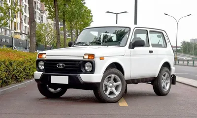 9229390_100