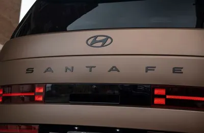 24387731_300